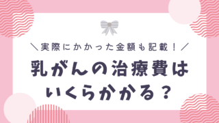 乳がんになったらお金はいくらかかる?私の治療費と助けられた制度